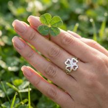 Сребърен пръстен - Късмет