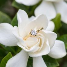 Годежен златен пръстен с циркон