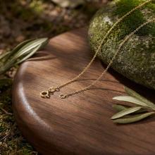 Златен Синджир Анкар 42 см