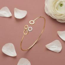 Златна Гривна Кръгове