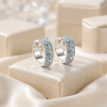 Сребърни обеци Elise с кристали от Sw®