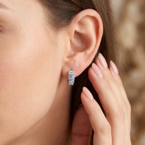 Сребърни обеци Elise с кристали от Sw®